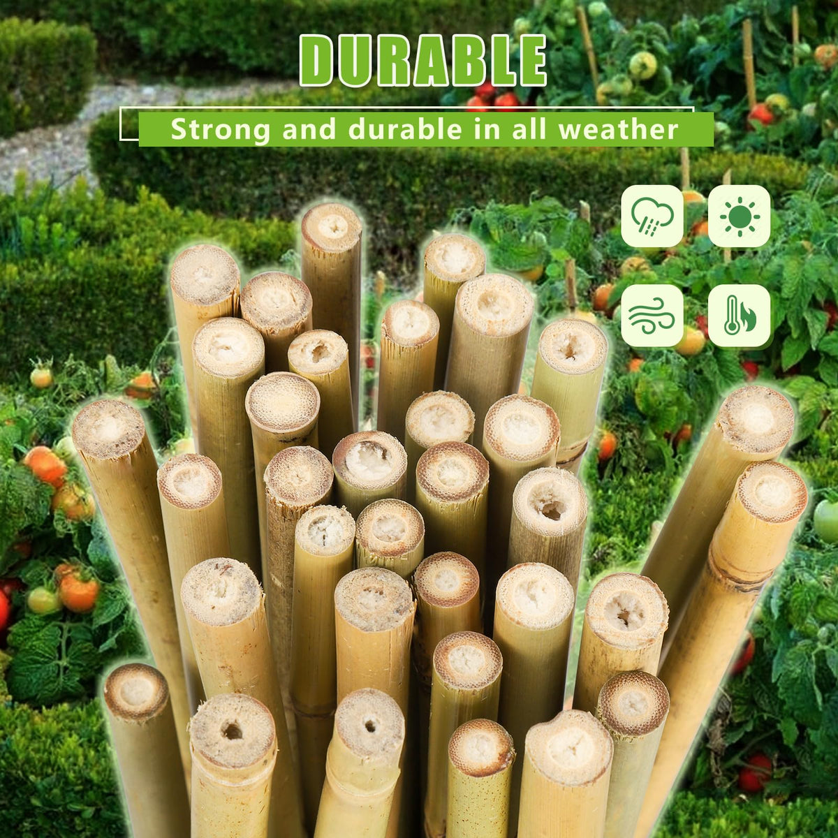 Gardgue bamboo stakes ideal for marking garden sections and beds.