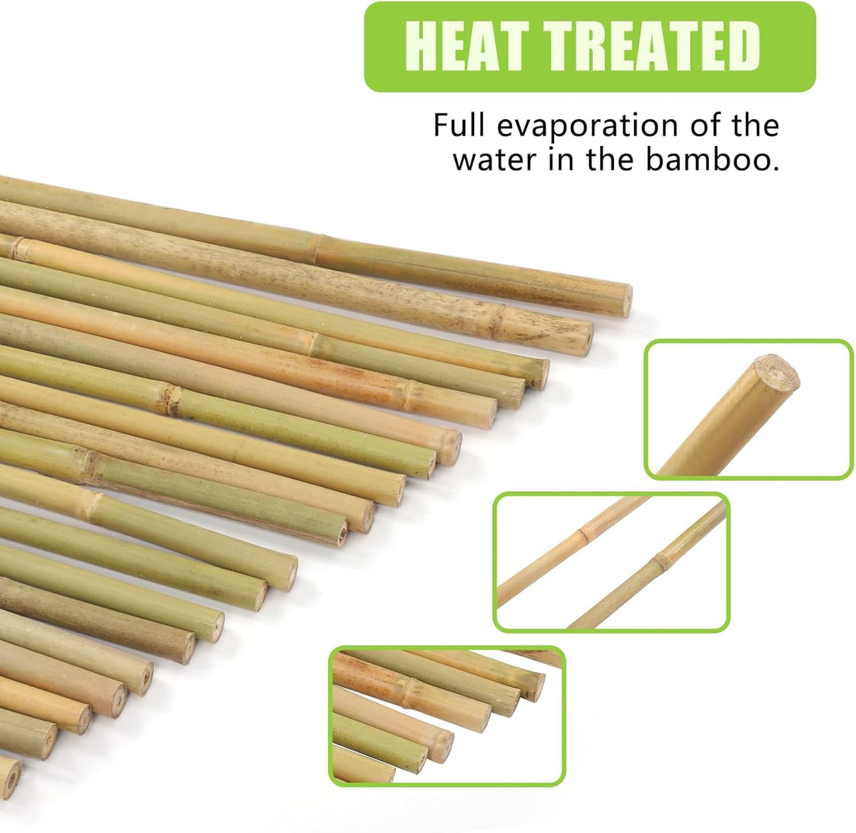 Gardgue bamboo stakes for beans and flowering plants