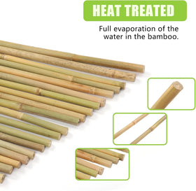 Gardgue bamboo stakes for beans and flowering plants