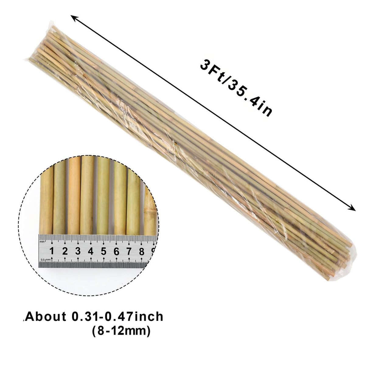 Gardgue tomato plant support bamboo stake for sturdy growth