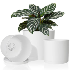 GARDIFE 10-inch white cylinder planter for versatile indoor or outdoor displays.