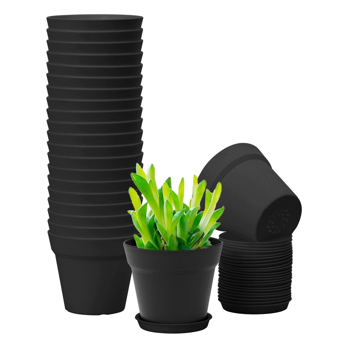 Gardife 4-inch black matte pot for chic indoor plant displays