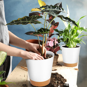 GARDIFE pot white with drainage holes promotes air circulation for roots.