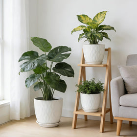 GARDIFE drainage holes prevent overwatering for easy care
