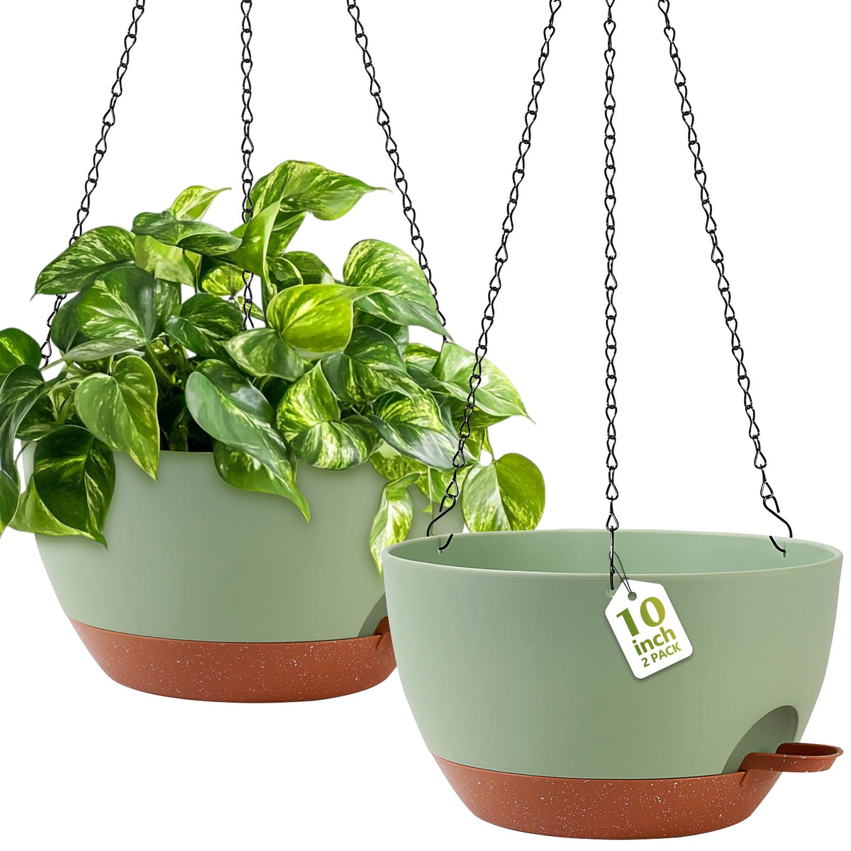 GARDIFE hanging planter with a minimal design in green enhances indoor decor.