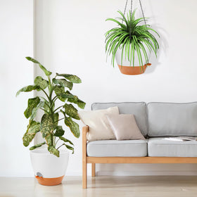 GARDIFE planter with reservoir demonstrates long watering intervals.