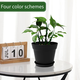 Gardife indoor garden setup using 20-pack planters