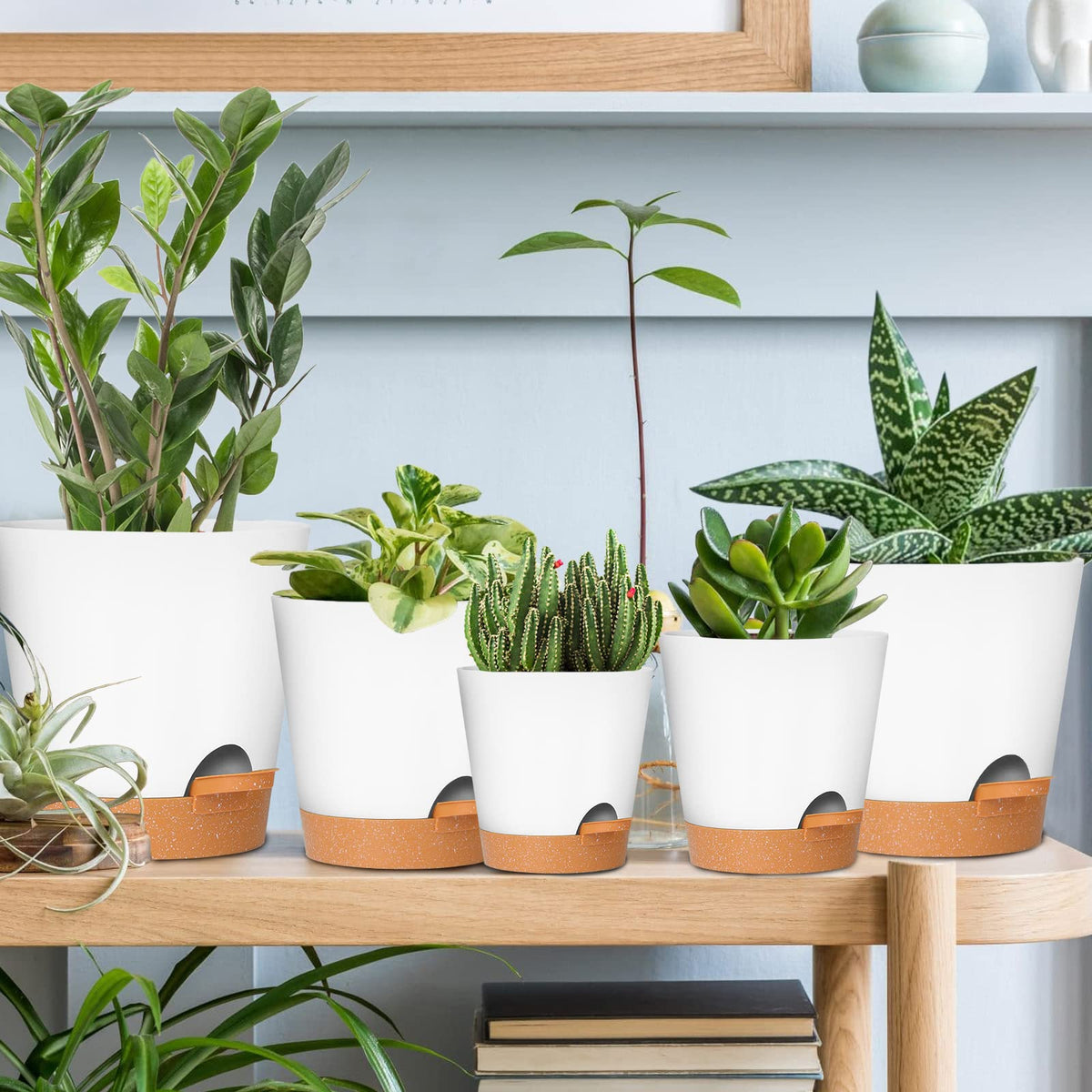 GARDIFE modern aesthetic white pot for contemporary home decor.