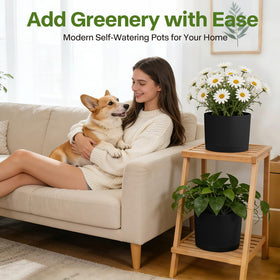 GARDIFE saucer-protected planter arrangement to guard surfaces