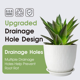 GARDIFE 7.5-inch white planter with saucer for indoor use