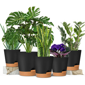 GARDIFE 6.5-inch pot for mid-sized plants in black.