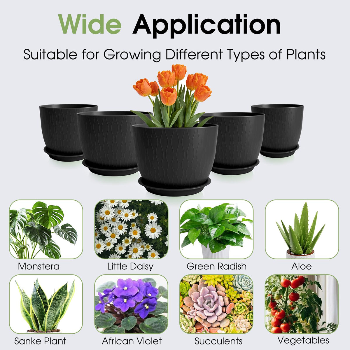 GARDIFE 7-inch pot with drainage for compact plants