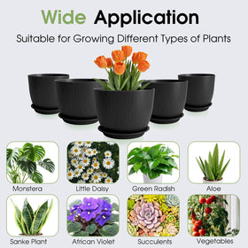 GARDIFE 7-inch pot with drainage for compact plants