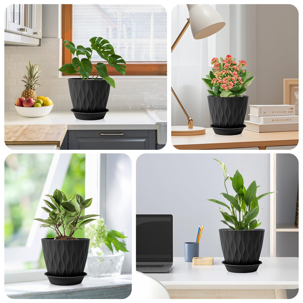 GARDIFE gift-ready plant pots for plant lovers and homes.