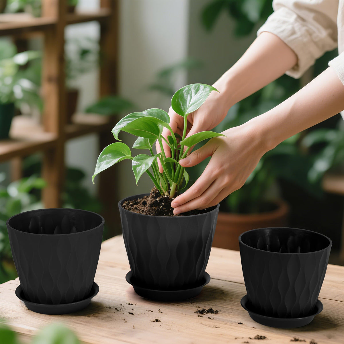 GARDIFE indoor-outdoor use shown with succulent and small plant.