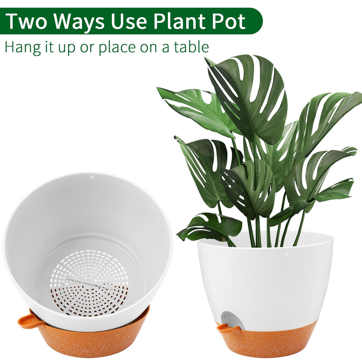 GARDIFE white hanging planter indoors with healthy green foliage.