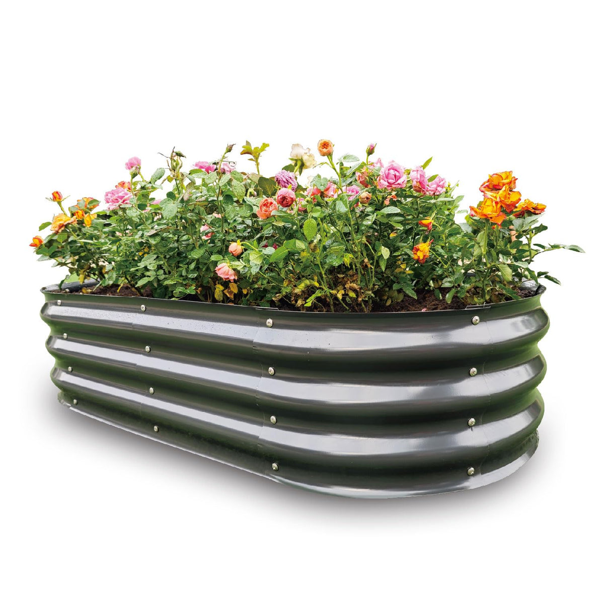 Gardmax galvanized raised garden bed showing sturdy panels for outdoor planting.