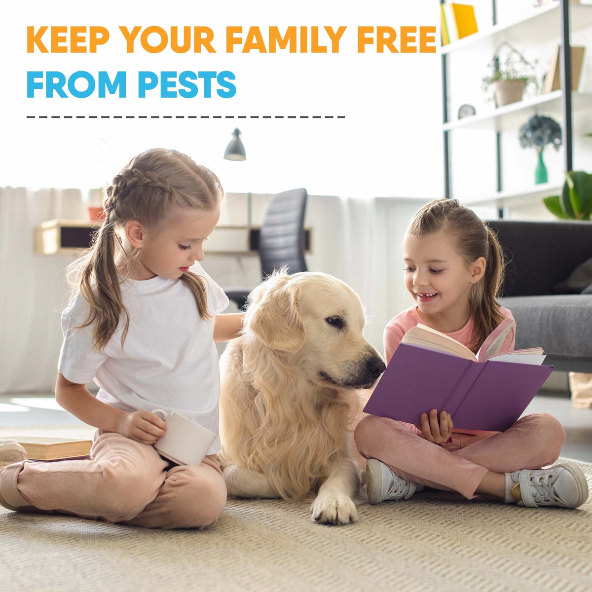 Gardner pet-friendly bug spray used safely around pets and families.