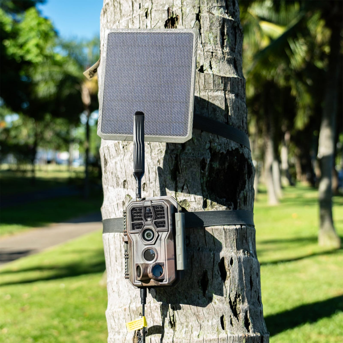 GardePro SP300 delivers 3.5W solar output to recharge the camera’s internal battery.