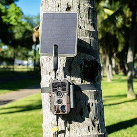 GardePro SP300 delivers 3.5W solar output to recharge the camera’s internal battery.