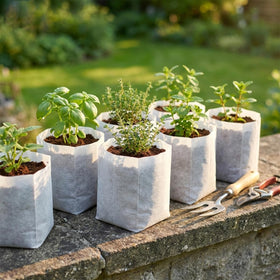 Gardtree 200-pack seedling bags provide ready-to-use seedlings solution.