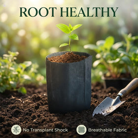 Gardtree breathable nonwoven bags emphasize airflow and drainage for healthy roots.