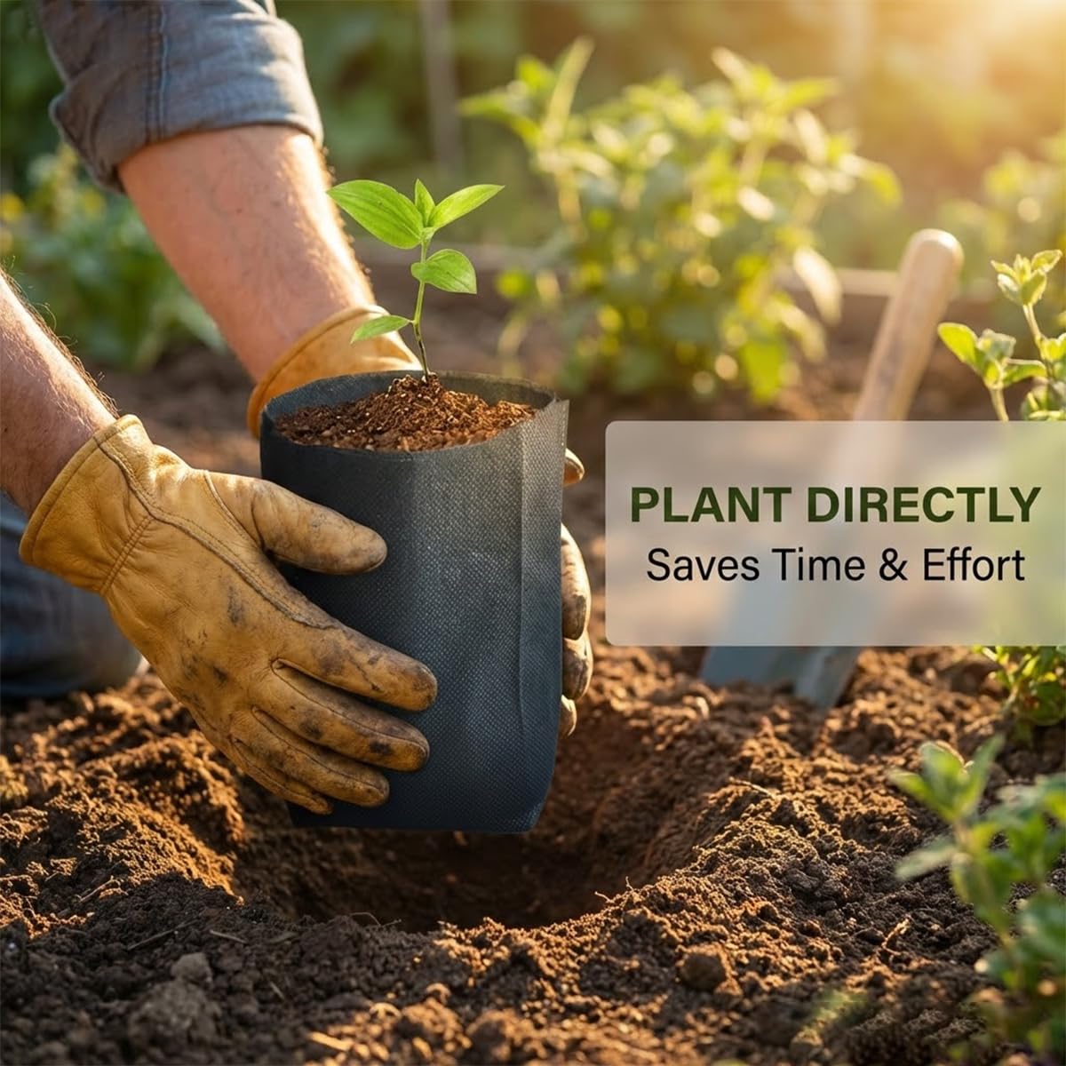 Gardtree indoor-outdoor plant bags illustrate versatile use for vegetables, herbs, and flowers.