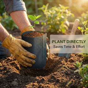 Gardtree indoor-outdoor plant bags illustrate versatile use for vegetables, herbs, and flowers.