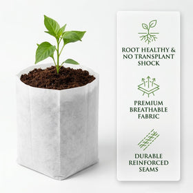 Gardtree seedling bag with sturdy seams prevents tearing during transplanting.