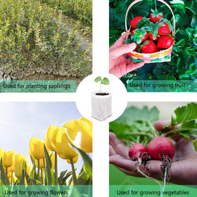 Gardtree transplant-friendly seedling bag simplifies moving plants.