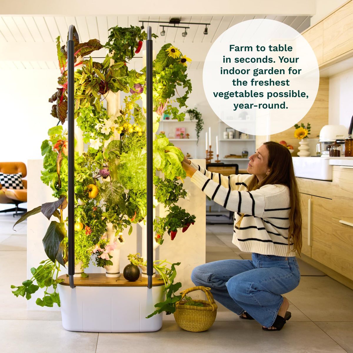 Gardyn 30-plant kit includes diverse non-GMO plants for indoor harvests.