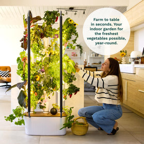 Gardyn 30-plant kit includes diverse non-GMO plants for indoor harvests.