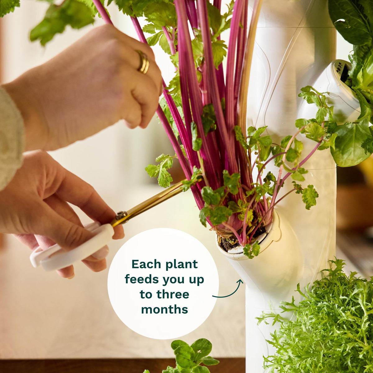 Gardyn eco-friendly design with brushed aluminum and recyclable plastics.