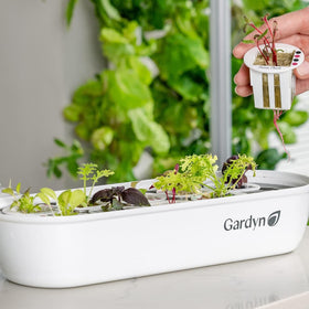 GARDYN growth environment setup showing miniature greenhouse effect
