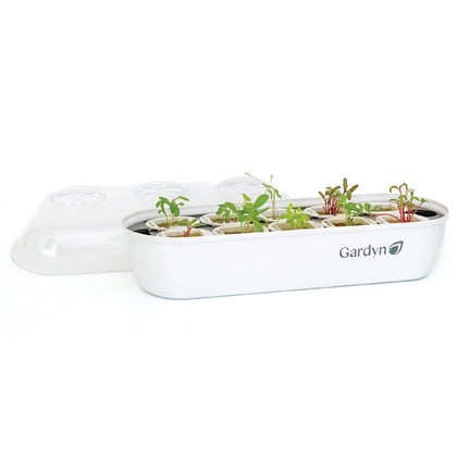 GARDYN seed starter tray base ready for germination under grow lights