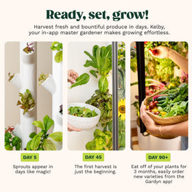 Gardyn Studio 2 apartment fit for a modern, productive indoor herb garden.