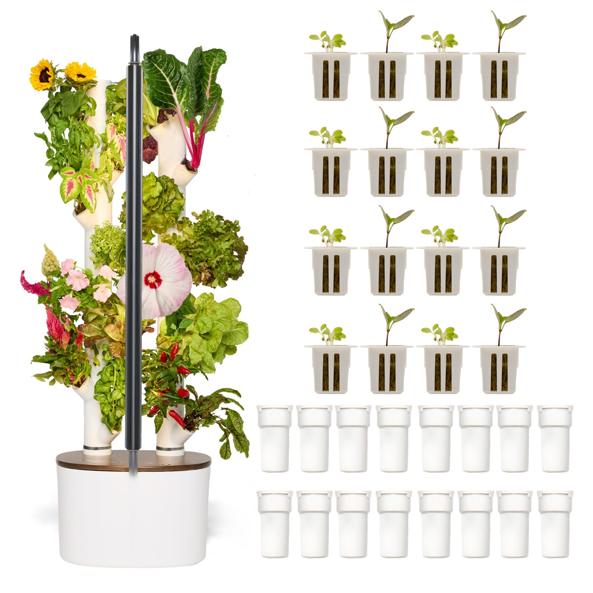 Gardyn Studio 2 compact tower demonstrates space-saving vertical garden for small apartments.
