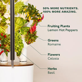 Gardyn Studio 2 starter seed kit kicks off year-round indoor gardening.