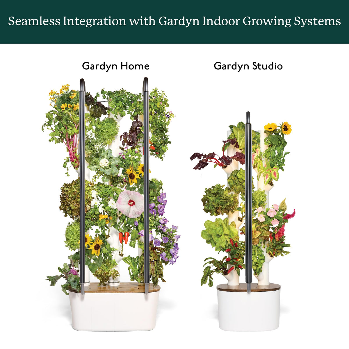 GARDYN placement near sun or grow light for best results