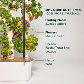 Gardyn yCubes contain non-GMO seeds to support easy germination.