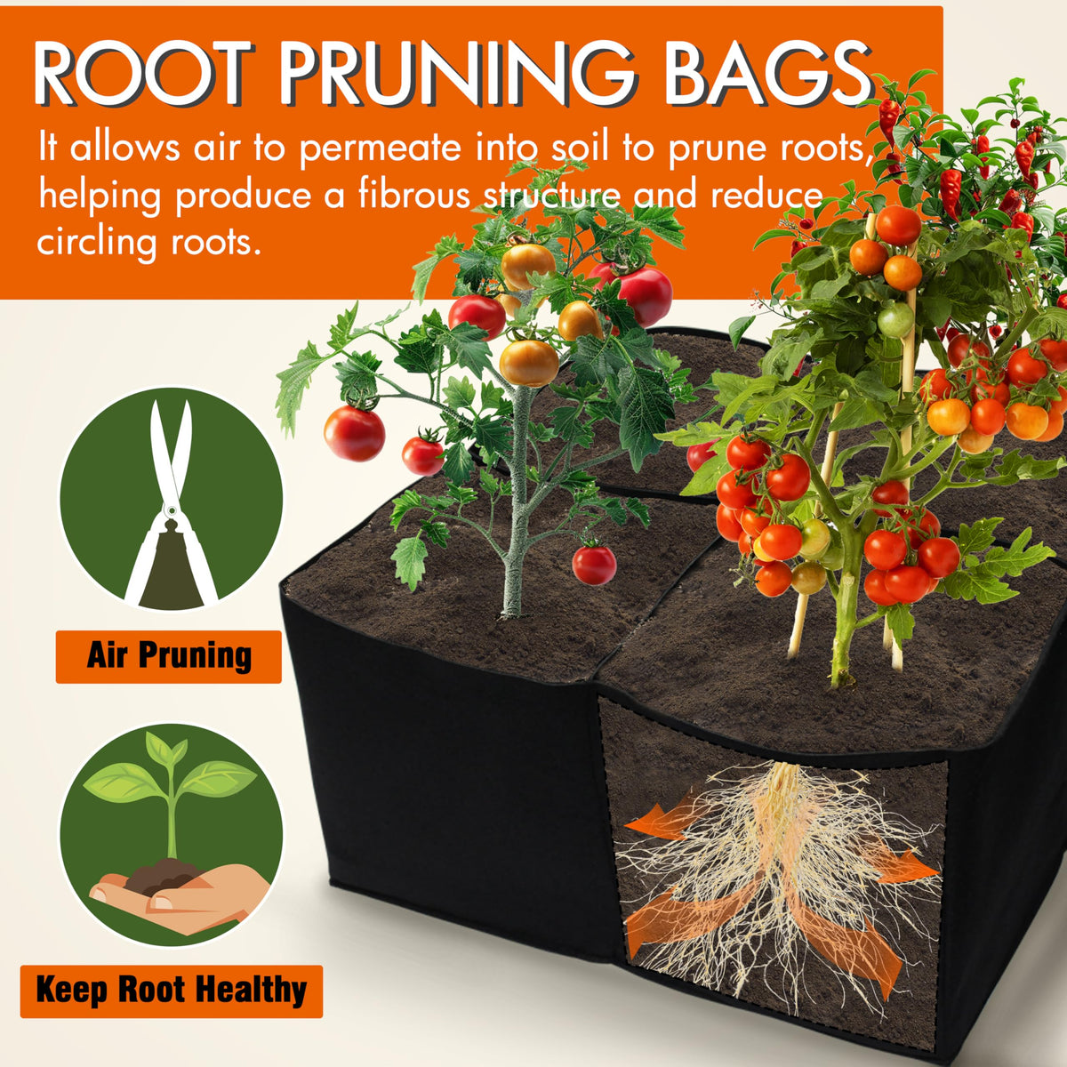 Gardzen beds shown with tomatoes and herbs for compact container gardening