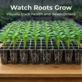 Bottom watering base helps prevent overwatering and promotes healthy roots.