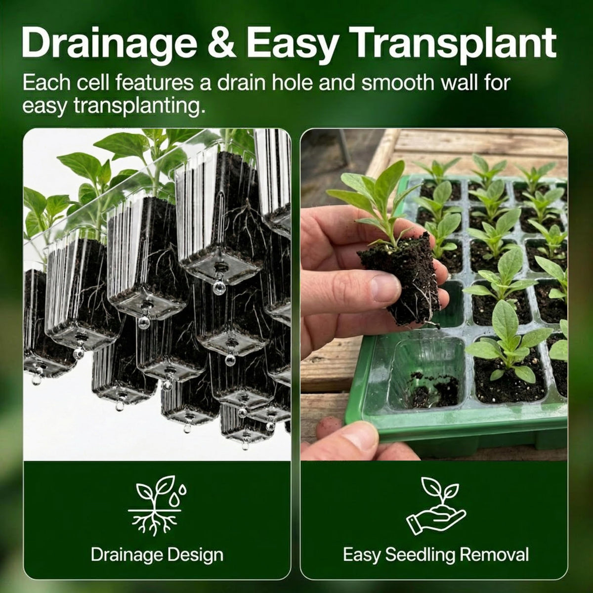 Each cell includes a drainage hole to maintain balanced soil hydration.