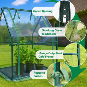 Gardzen Mini Greenhouse clear cover allows bright light and warmth