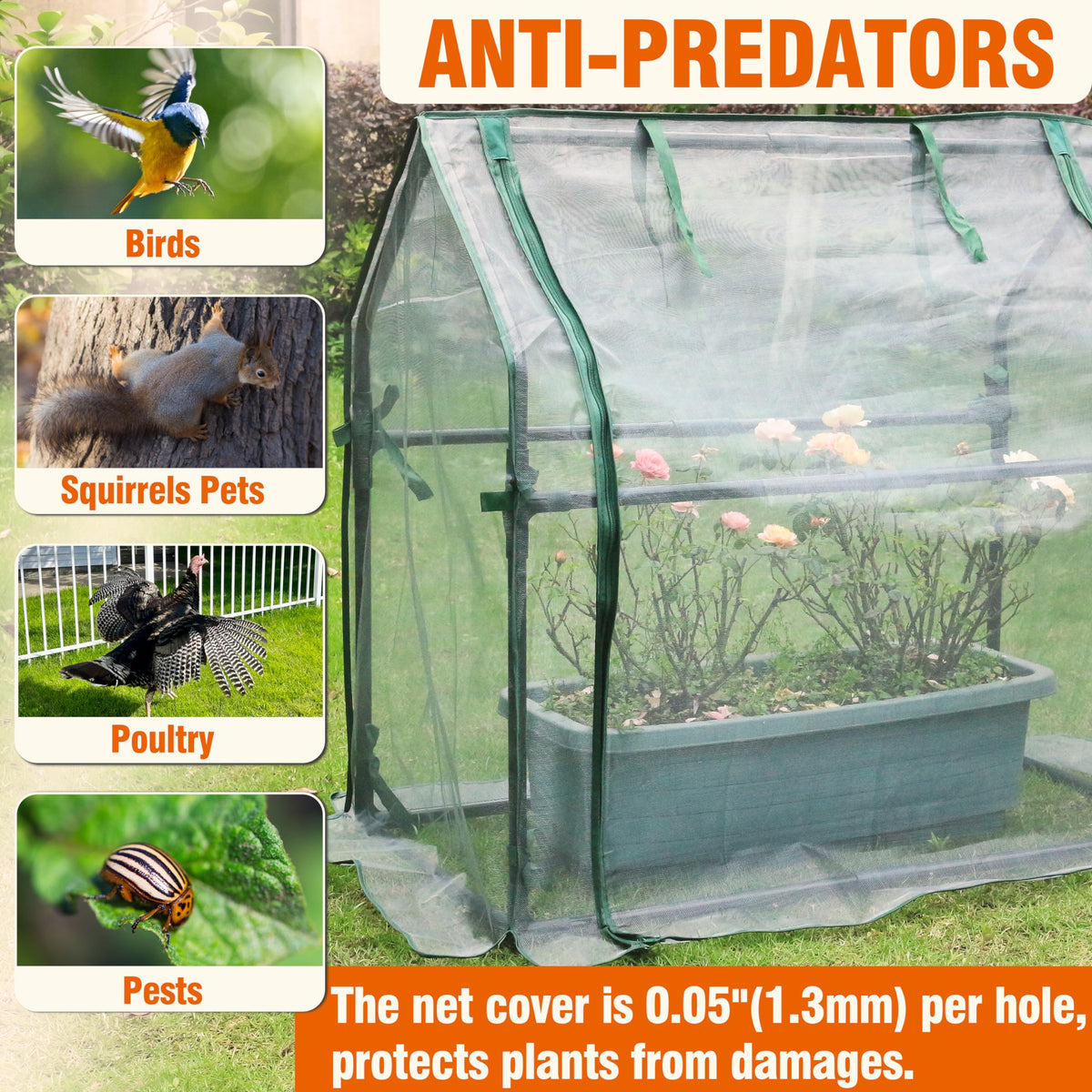Gardzen mini greenhouse ventilation design promotes airflow and healthy plant growth.