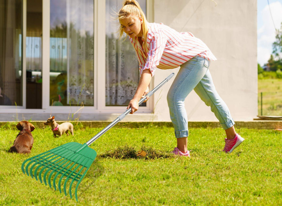 Gardzen rake reaching under bushes for tidy garden beds
