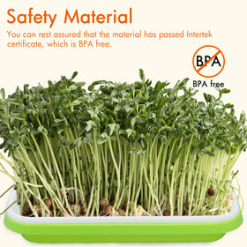 Gardzen white tray close-up highlighting dense holes for tiny seeds and airflow.