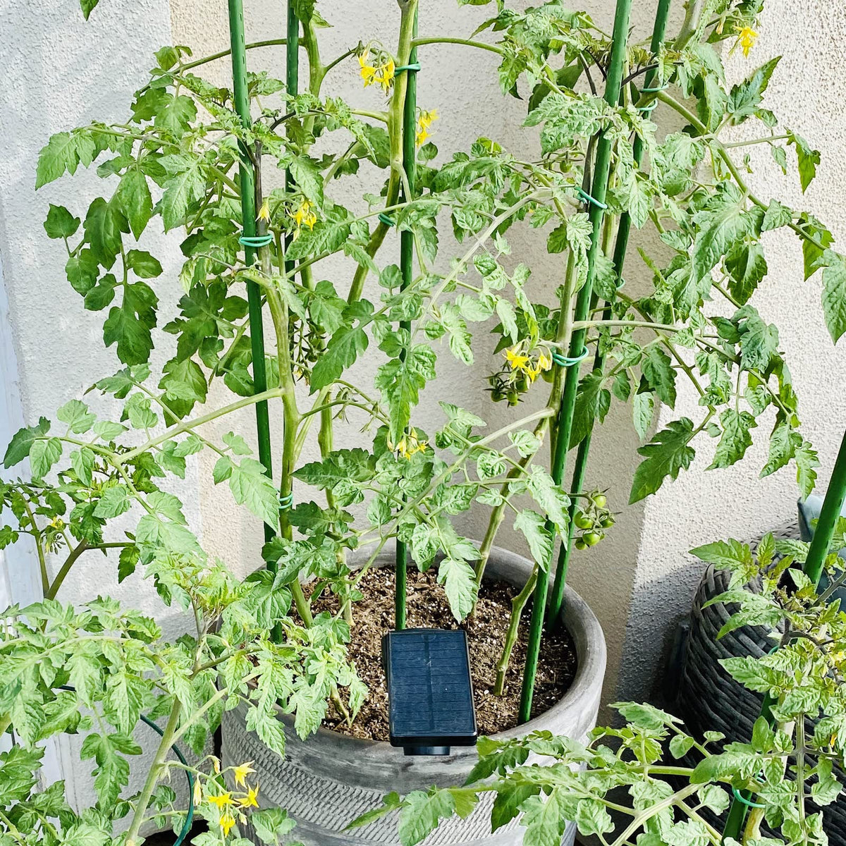 Garmeinea stakes are compact and easy to store when unused.