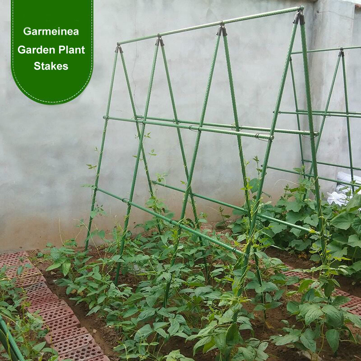 Garmeinea 7/16 inch diameter, 30 inch length strengthens plants.