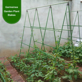 Garmeinea 7/16 inch diameter, 30 inch length strengthens plants.